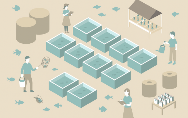 めだか養殖・販売・オークション事業